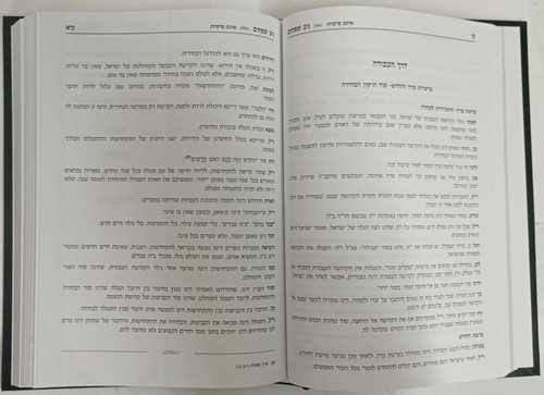 ניב שפתים - דרכי המועדים פורים