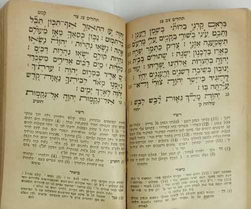 תהלים עם פירוש רבי יעקב רקח
