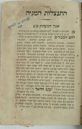 לחם הבכורים- ליוורנו