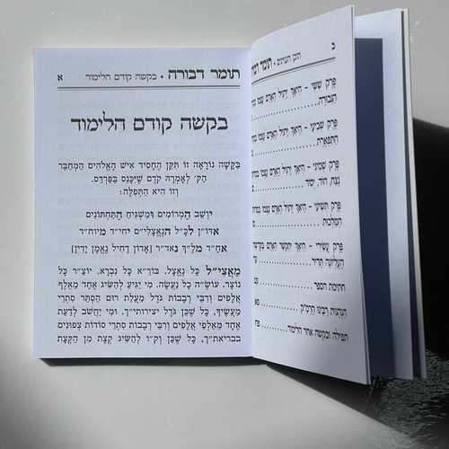 תומר דבורה
