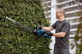 גוף גוזם גדר חיה בוש 18v  GHE 18V-50 