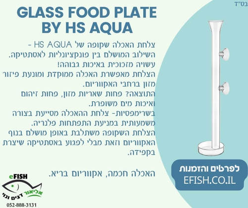 ניוזלטר 03/25