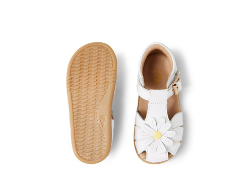 Bobux IW Petal WHITE מידות 22-26