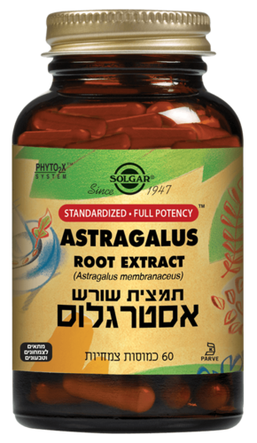 תמצית שורש אסטרגלוס סולגאר 60 כמוסות - Solgar Astragalus Root Extract