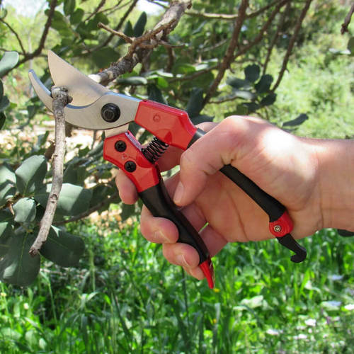 מזמרה ידנית מקצועית גדולה דגם S-821 תבור Tabor