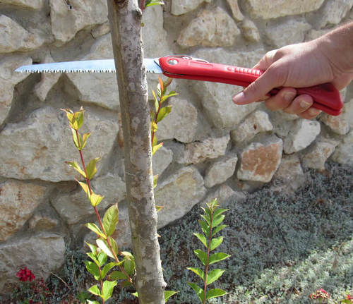 מסור מתקפל ידני דגם T6 תבור Tabor