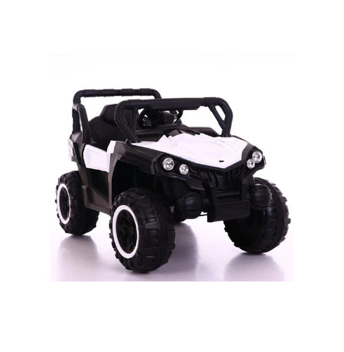 RZR מיני לבן