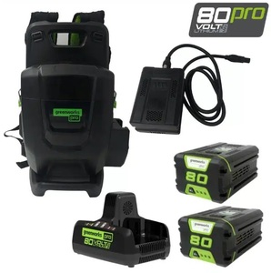 יחידת כח נישאת 80V PRO + שתי סוללות 4 אמפר ומטען כפול GREENWORKS 99782