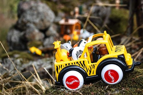 רכב ספארי + חיות 28 ס