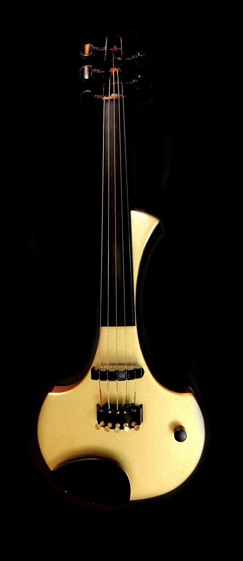 כינור חשמלי 4 מיתרים CANTINI EARPHONIC GOLD