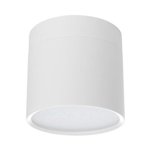 צמוד תקרה צילינדר לבן TOPAZ 10W 3CCT 