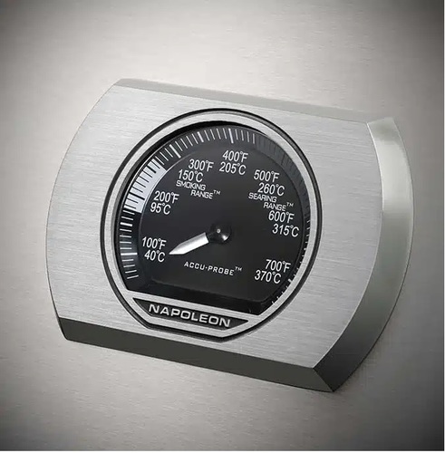 גריל גז נפוליאון ROGUE XT 365SIB IL בגימור נירוסטה יוקרתי עם 2 מבערים, כירת צד אינפרא אדום SIZZLE ZONE ורשתות ברזל יצוק