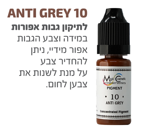 פיגמנט ANTI GREY 10 צבע תיקון 