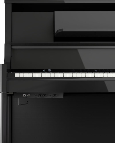 זוית נוספת Roland LX-9 Digital Piano