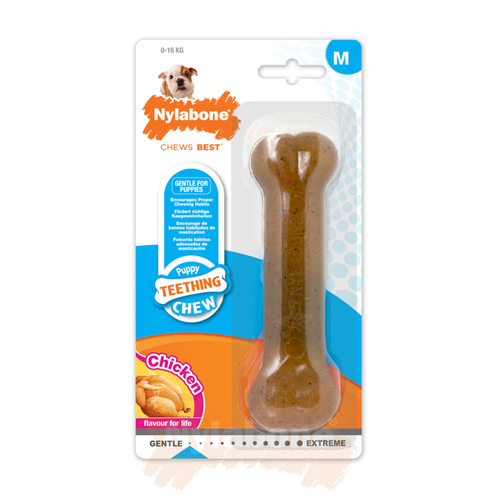 צעצוע עצם בטעם עוף M לגורי כלבים