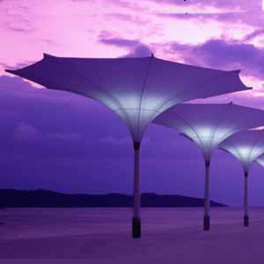 שמשית לד מעוצבת בצורת פרח מדגם נרקיס-תצוגה