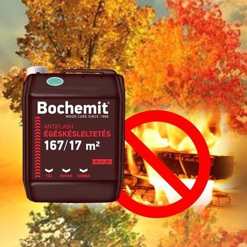 צבע מעכב בעירה לעץ 5 ק”ג מונע עובש Bochemit