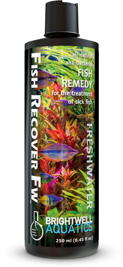 ברייטוול פיש ריקובר 500 מ"ל - Brightwell Fish Recover 
