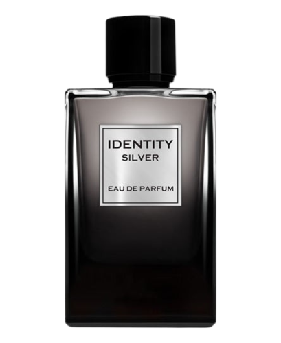 Ga-de Identity Silver 100ML EDP גייד אידנטיטי סילבר לגבר