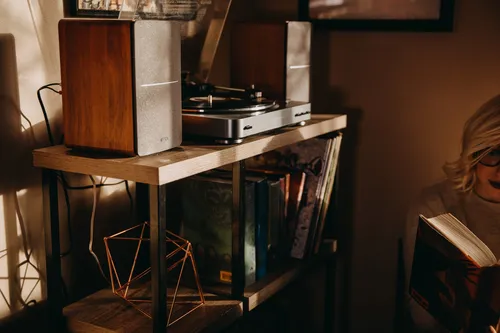 רמקולים מדפיים Edifier R1280DB - Powerful Bookshelf Speakers (black) EDF100016b