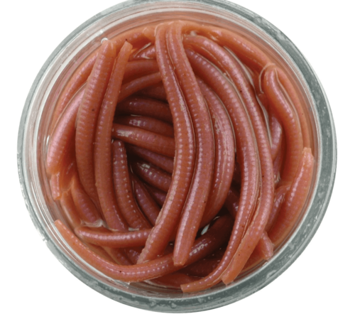 תולעים לדיג ברקלי חומות בנוזל Berkley Gulp Alive Angle Worm natural