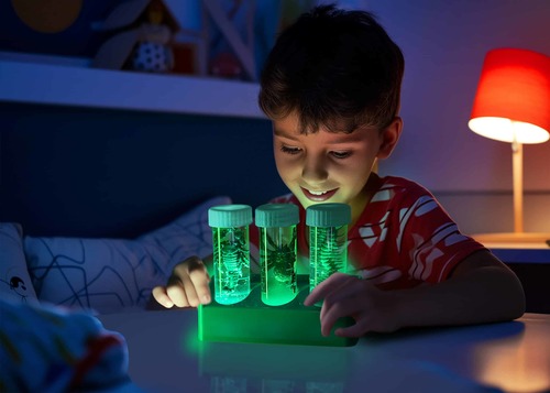 מעבדת חרקים זוהרת! מבית 4M