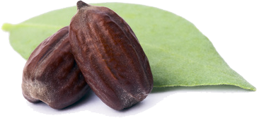 שמן חוחובה 