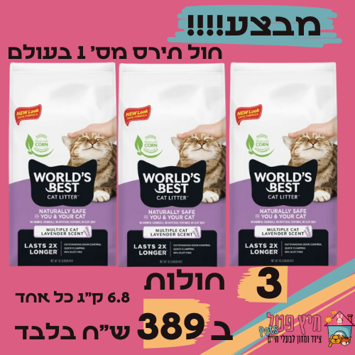 מבצע 3 חול חתולים וורלד בסט קט סגול 6.8 ק
