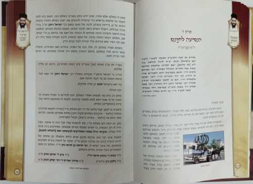אשכול הכופר ב