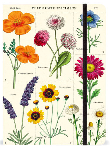 A5 מחברת שורה: Wildflowers