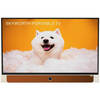 טלוויזיה חכמה ניידת 24" SKYWORTH FHD 24LP60G