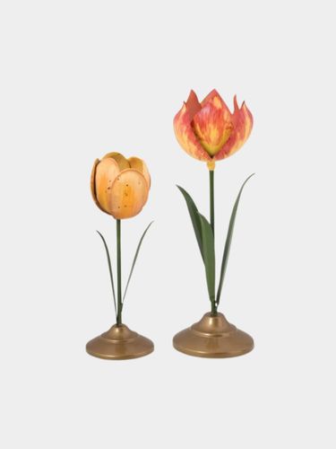 Lily & Lotus סט 2 פמוטי טוליפ מתכת