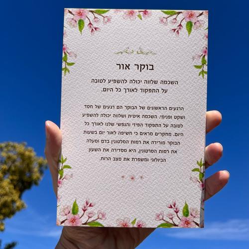 חיבור טבעי- ערכת מיינדפולנס