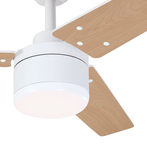 מאוורר תקרה טליה 