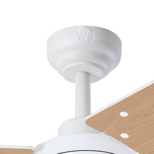 מאוורר תקרה טליה 