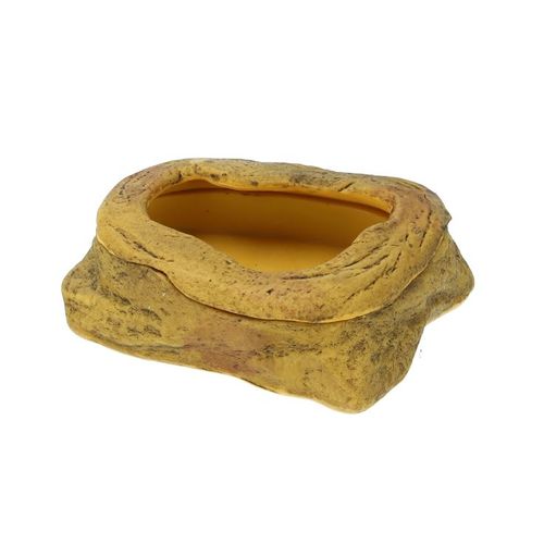 אקזוטרה כלי אוכל לזחלים 1 יחידה