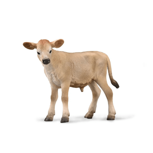 חיות חווה ובית - עגל ג'רזי (S)