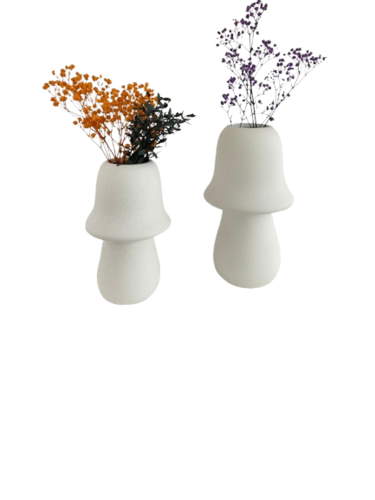 אגרטל מיקונוס T