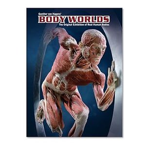 Body Worlds - The original exhibition of real human (יד 2) שונות 