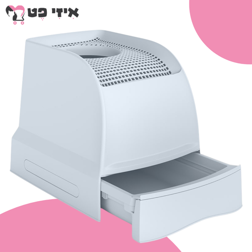 תכלת