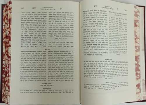 עץ חים - שערי יצחק