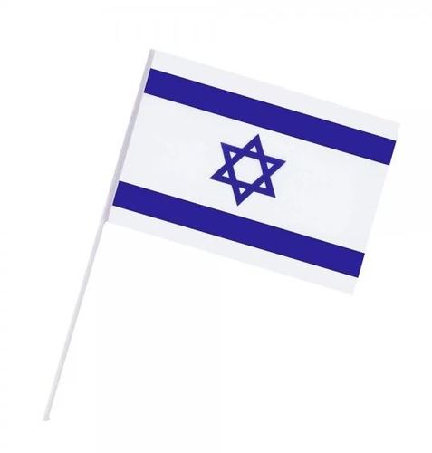 דגל על מקל קטן *50