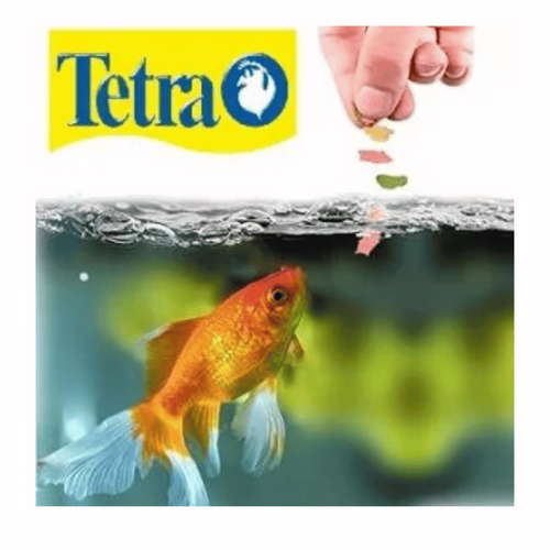 מזון דגים טטרה פונד וראיטי