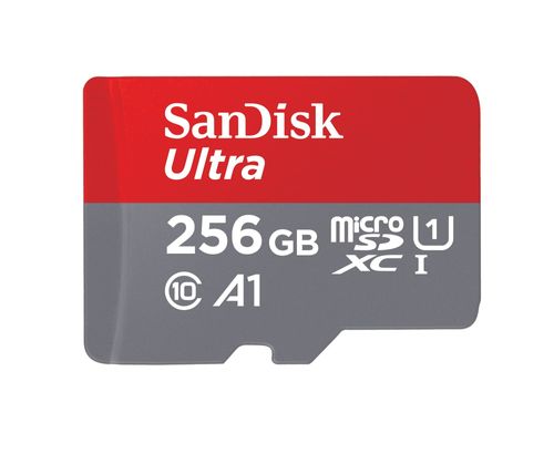 כרטיס זיכרון חיצוני SanDisk SD CARD 256GB Memory card Pro