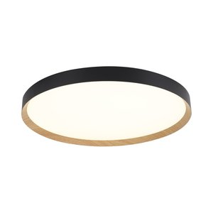 תמונה 1