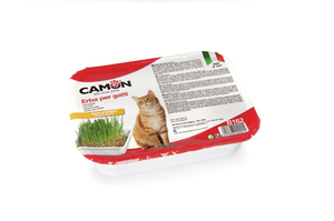 דשא שעורה לחתול קמון CAMON