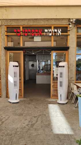 מצנן אוויר בריזה TOWER 10,000