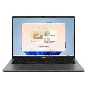 S3607VA I7-13620H 16" 1T 16GB W11H GRAY 3YOS