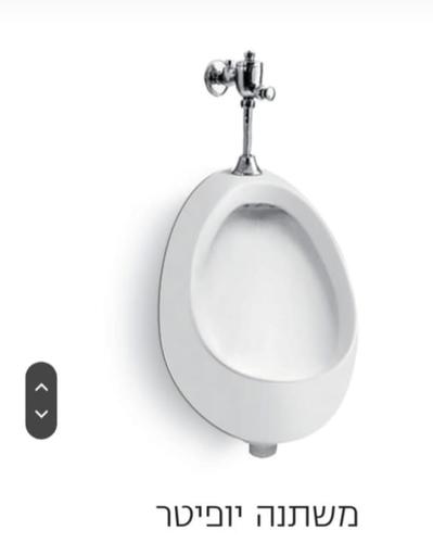 משתנה תלויה פלסאון דגם יופיטר 