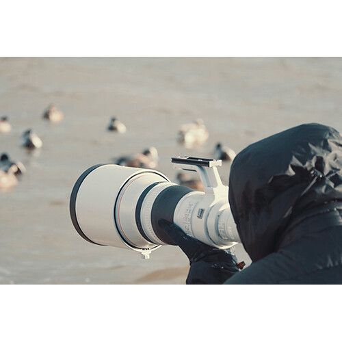 עדשה Canon RF 800mm f/5.6 L IS USM